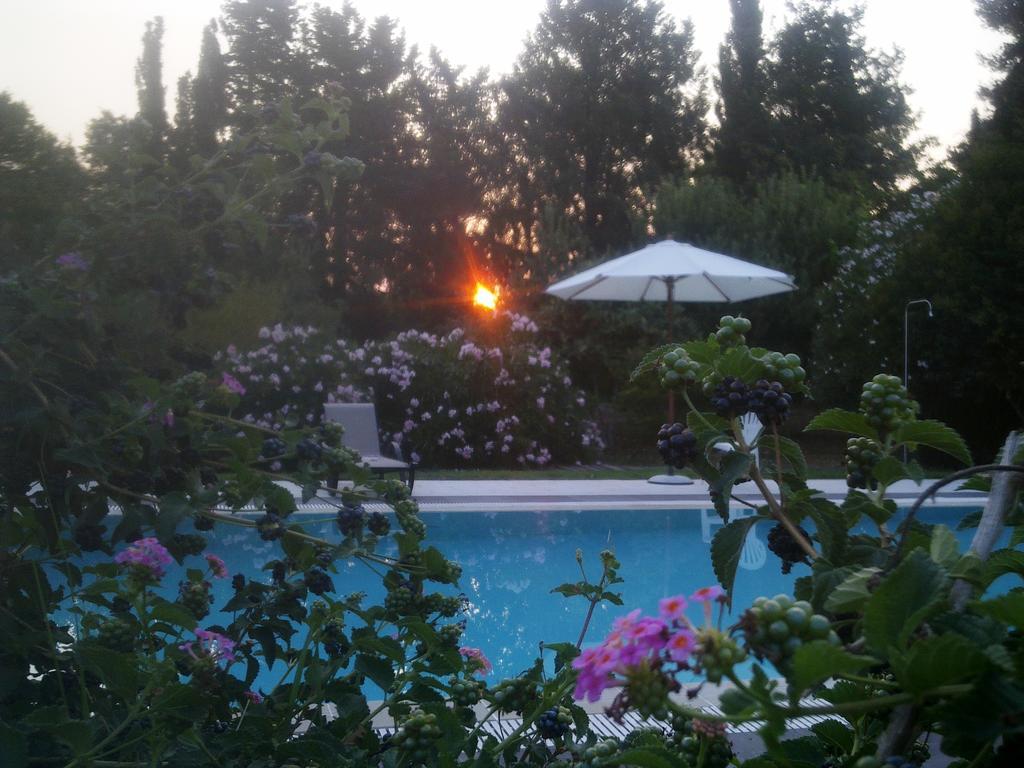 Amalia Acharavi Acharavi (Corfu)